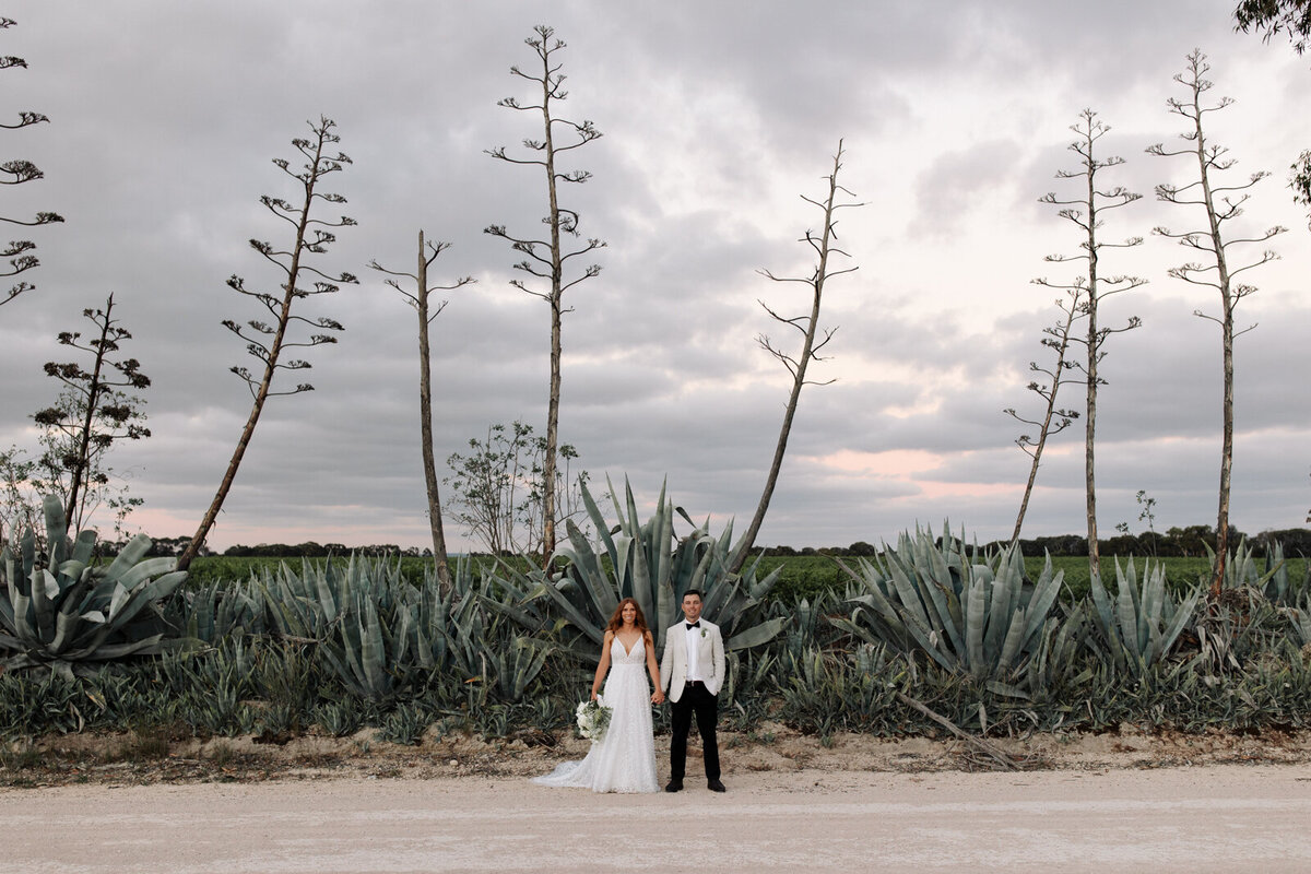 Adelaide Wedding Photographer and Videographer-2787