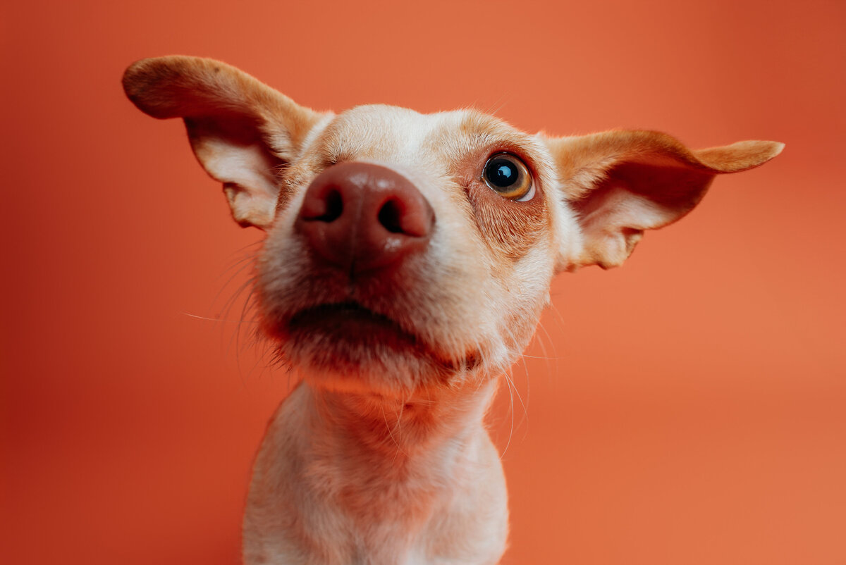 4D8A5733-8A5C-4ECF-A7AE-4AABBB3210AB