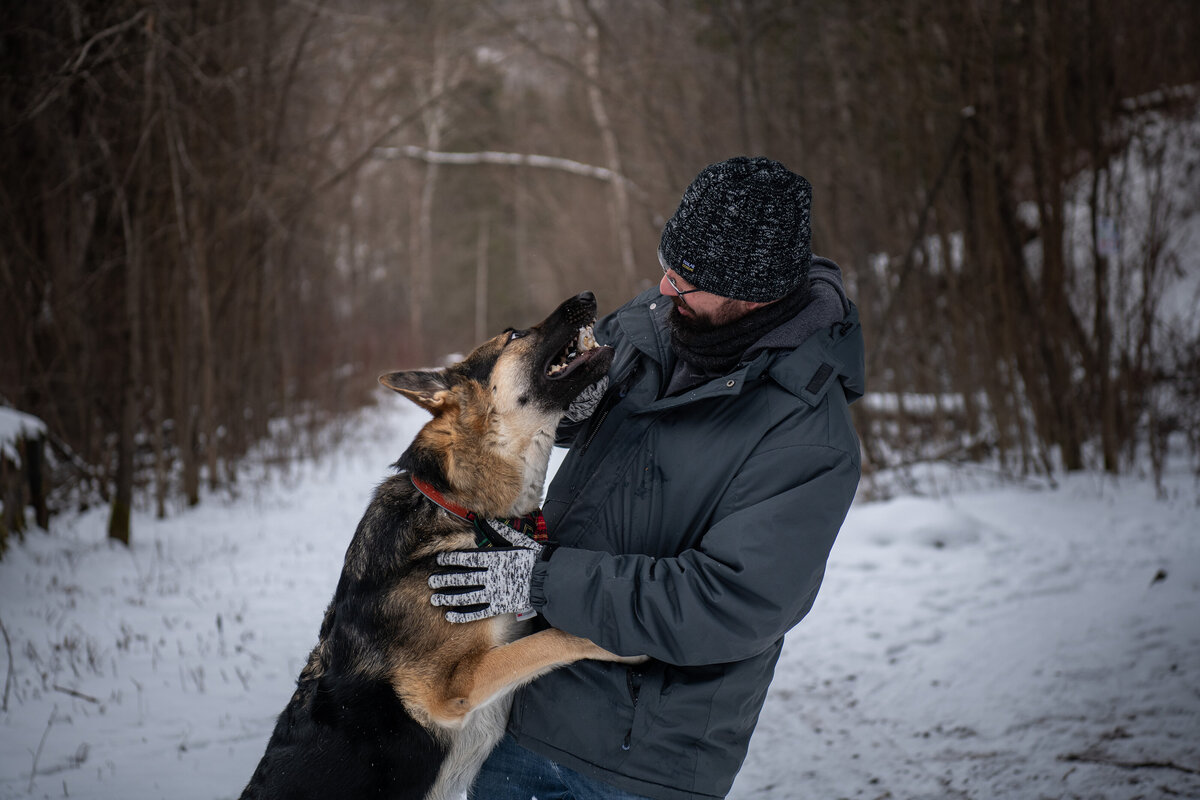 Mike and Shiva, a German Shepherd are playing with a stick on the frederick rodney paine forest preserve trail. Photographed in Duluth, Minnesota by Paddle Paws Photography.