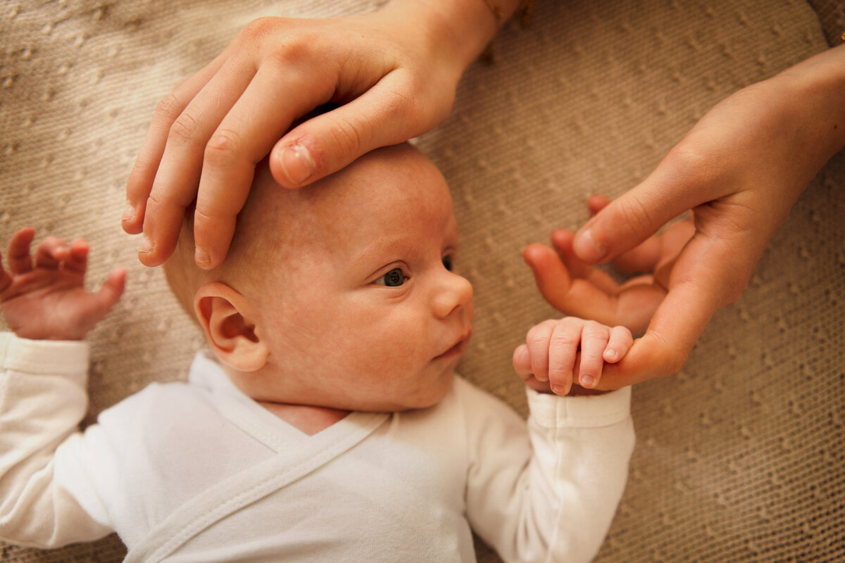 Newbornshoot Owen 6 hoge resolutie