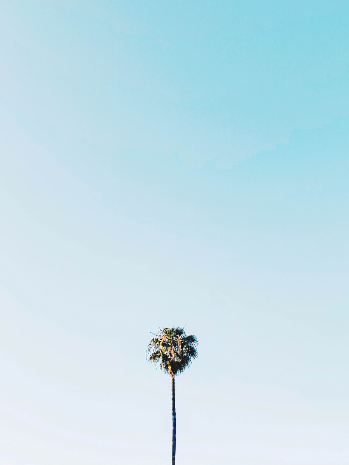 jacqueline_campbell_travel_photography_018