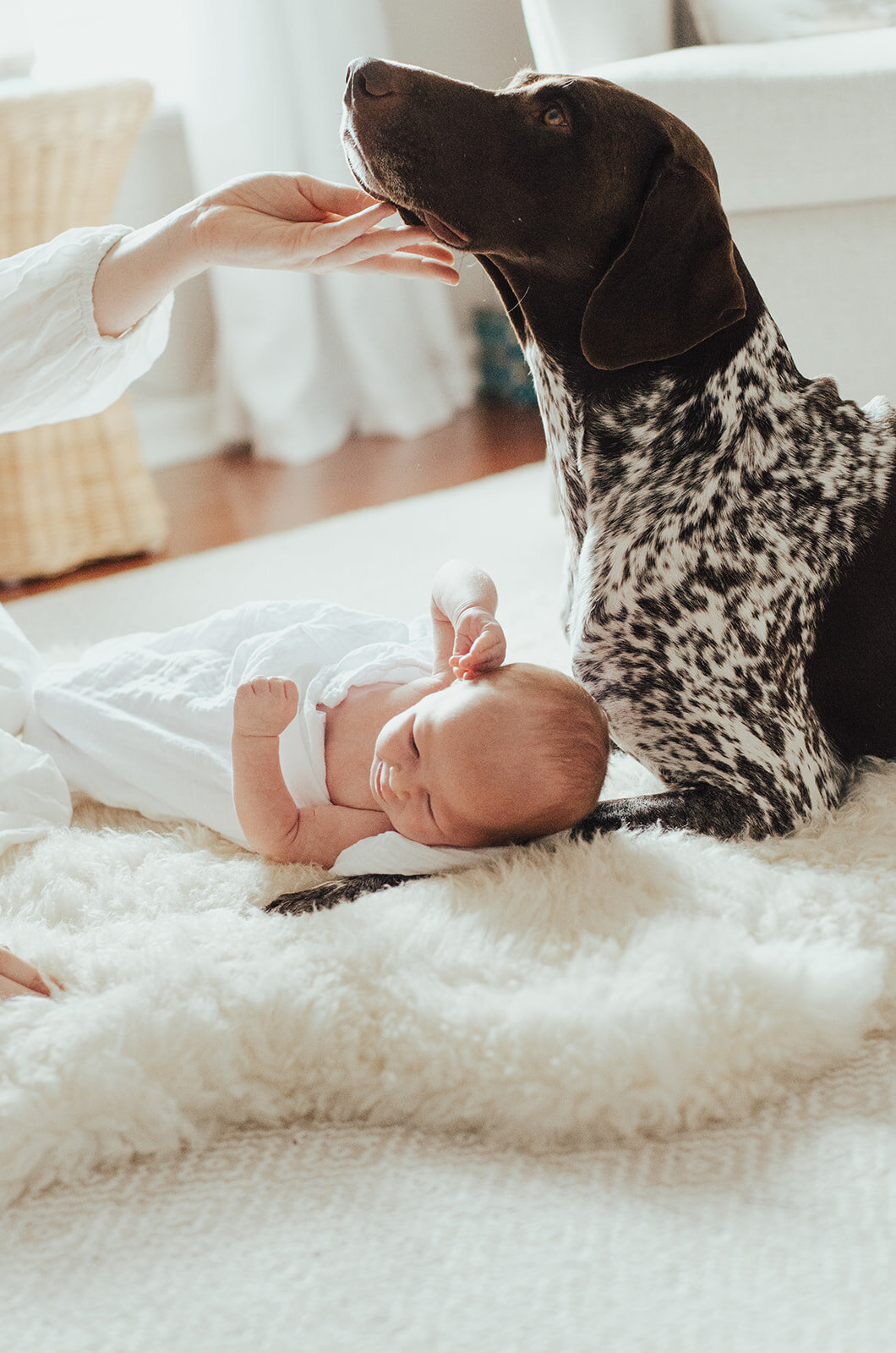 Birmingham-Newborn-Photographer-212