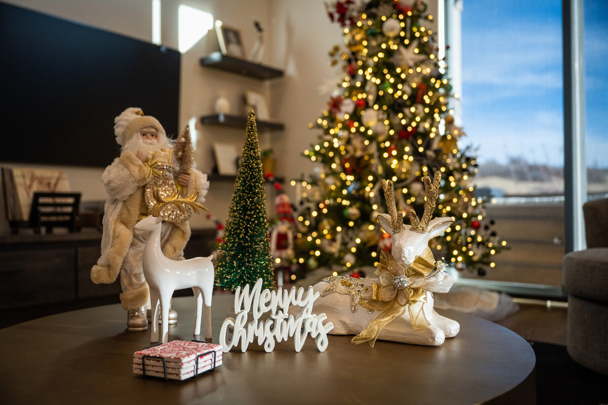 Interiors-by-Bethany-Professional-Christmas-Decor-Colorado-Springs-19