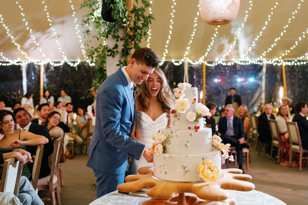 Colorado-wedding-planner-bride-groom-cake-cutting