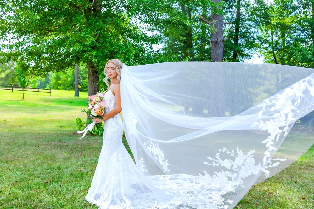 Auburn_Al_photograph