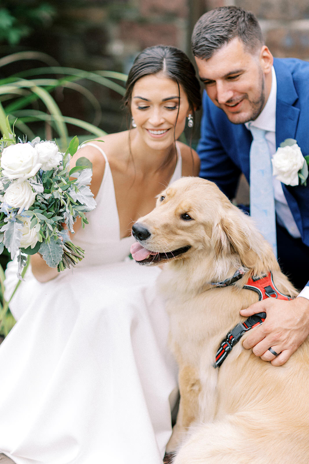 A bride and groom with their dog at their wedding at Pearl S. Buck Estate