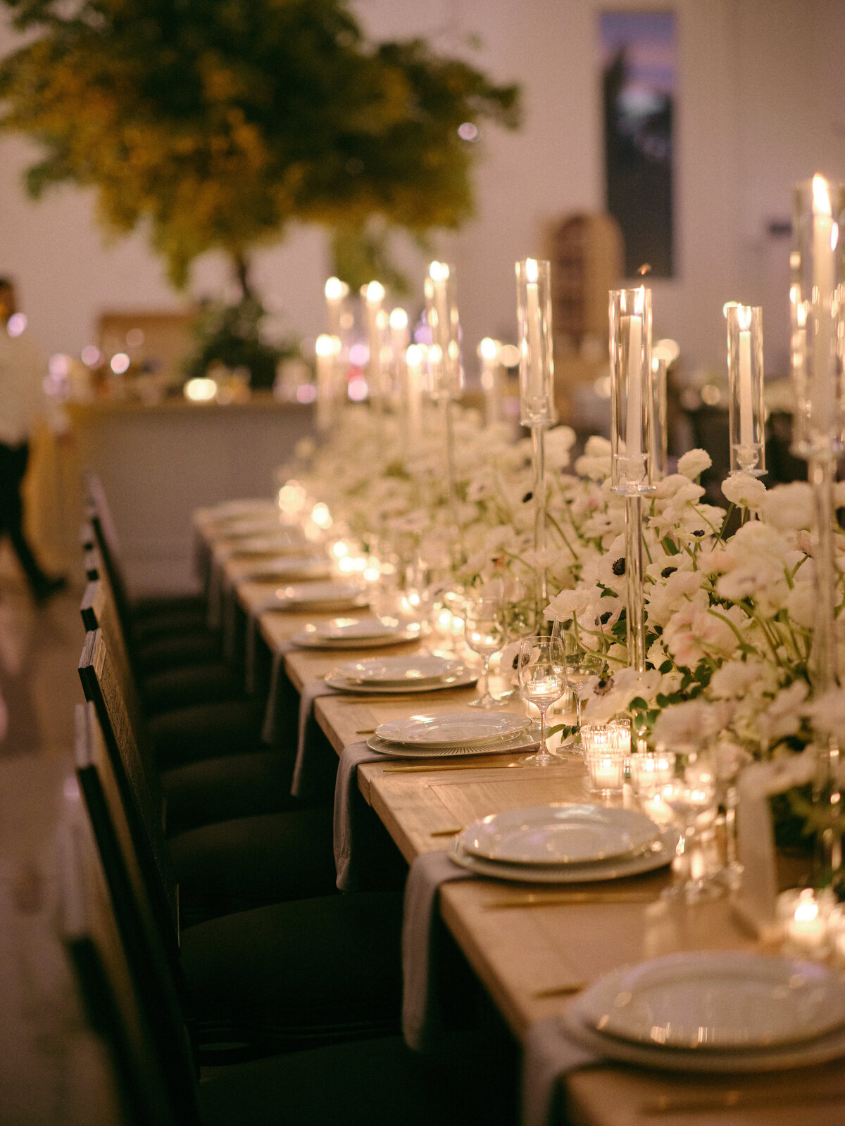 231202CAMEDD_adv0181