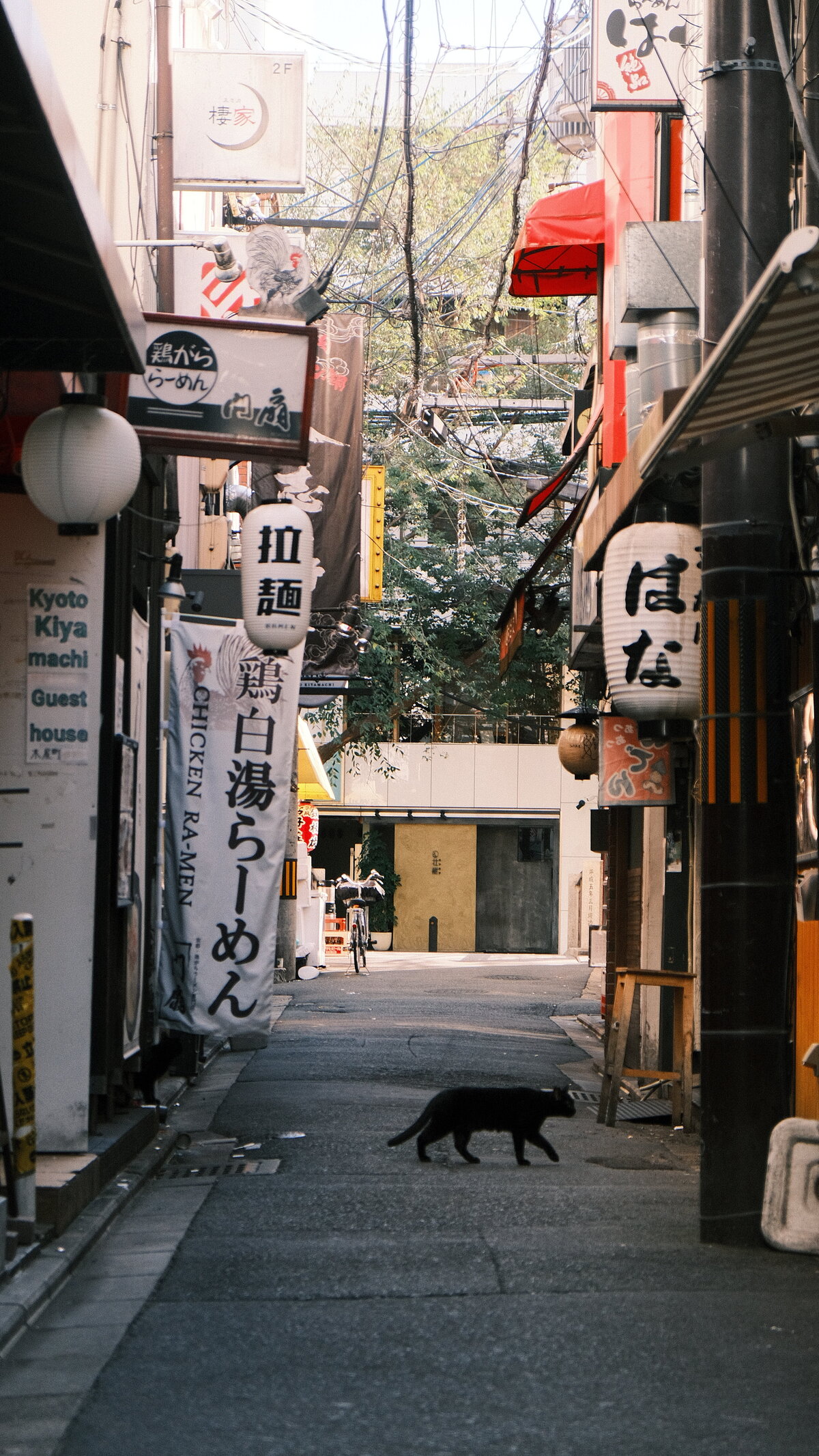 A black cat crosses through an alleyway in Kyoto, Japan.