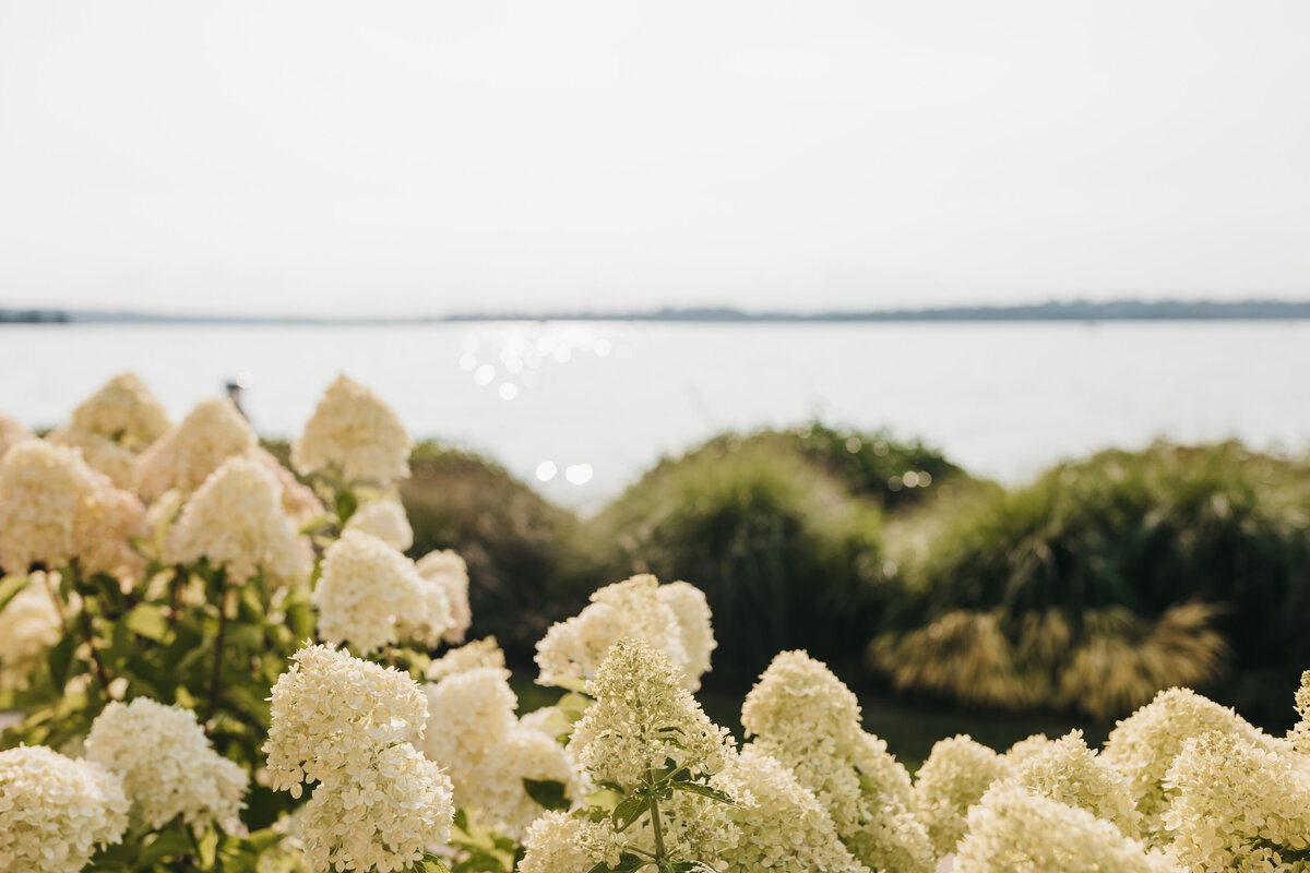 sjb-sarah-jane-bradley-photography-east-coast-wedding-photographer-223