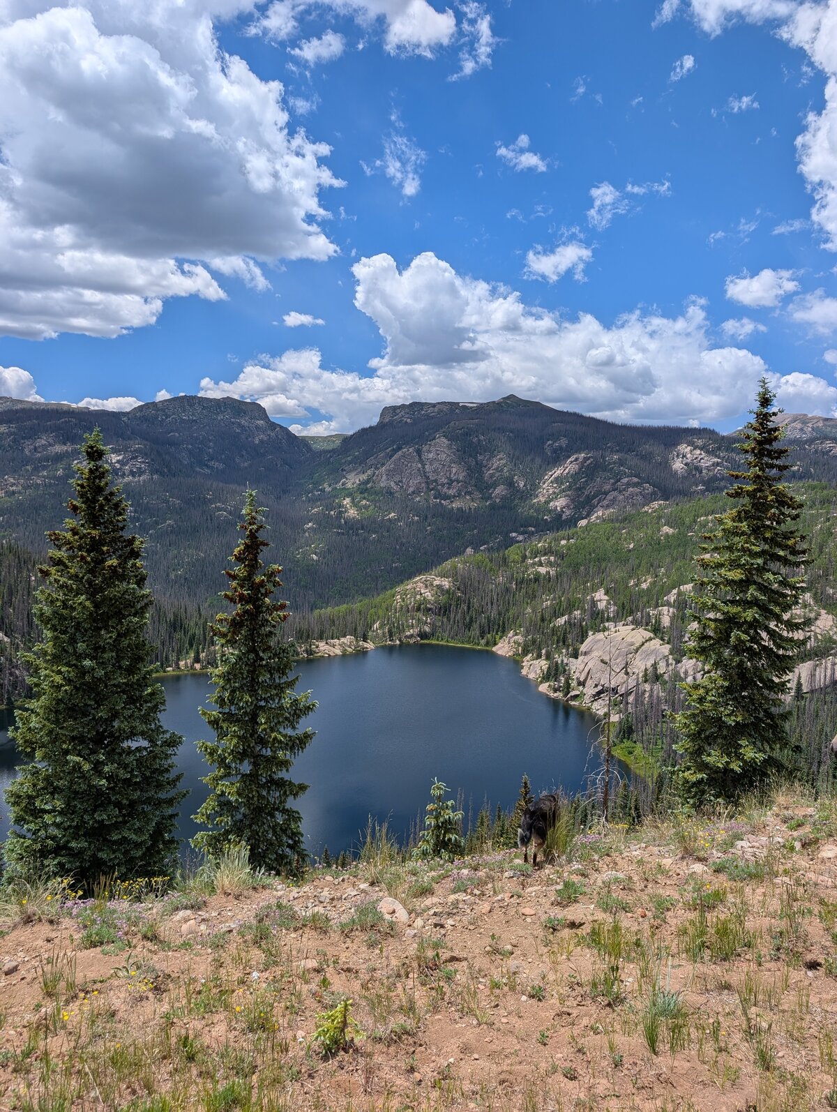 PXL_20250708_195622220.RAW-01.MP.COVER