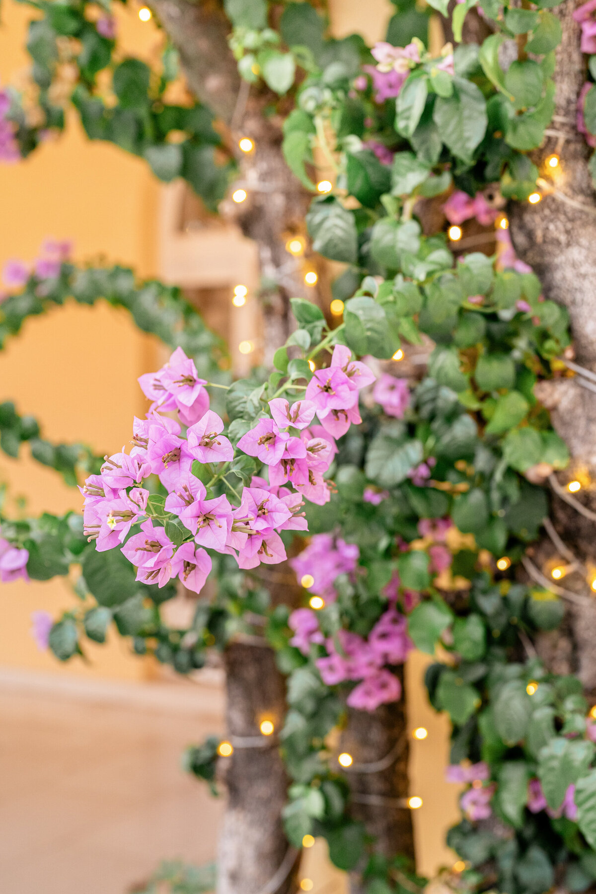 Villa-dalmacija-wedding-split-croatia-victoria-amrose-photography (106)