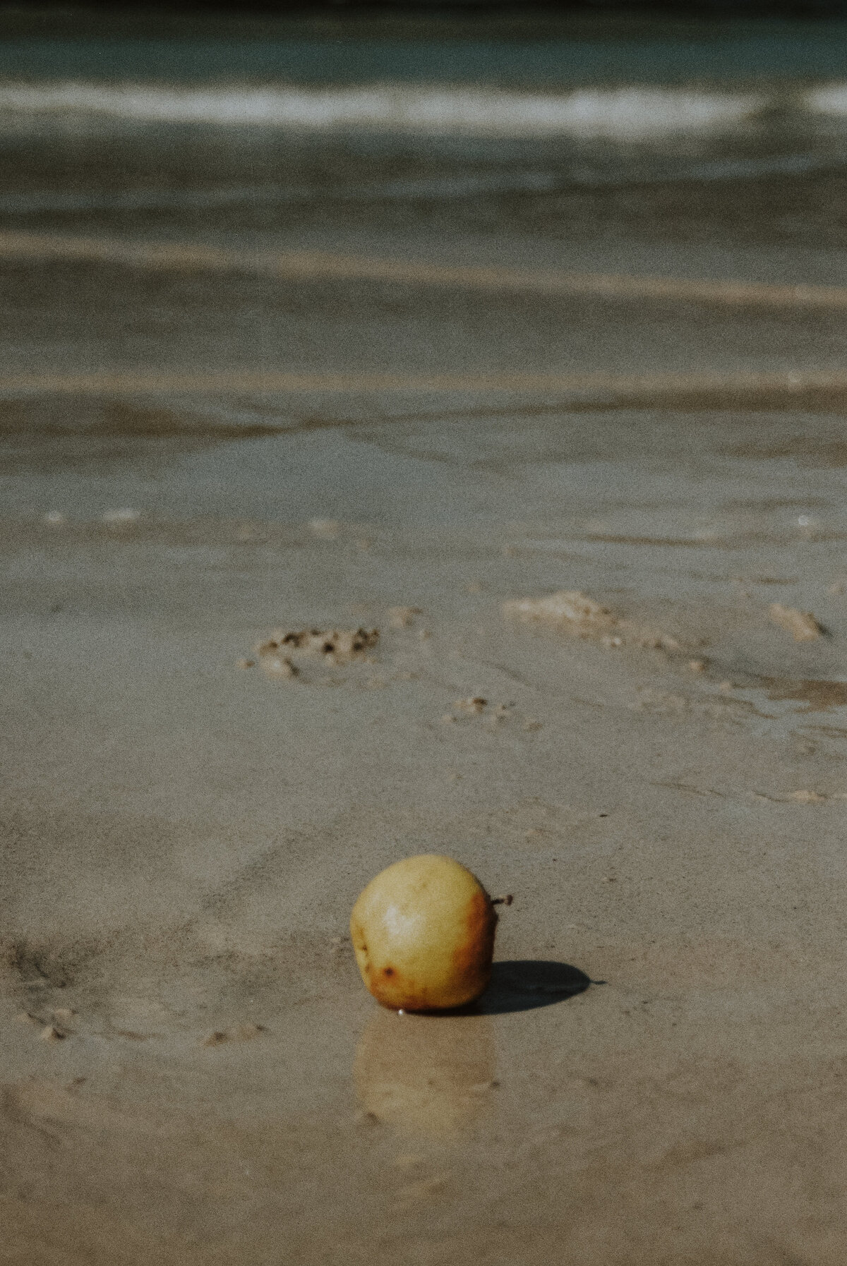 Film photograph of an apple having rolled onto a beach from the tide, part of The Quiet Gift series by Marie Kenny.