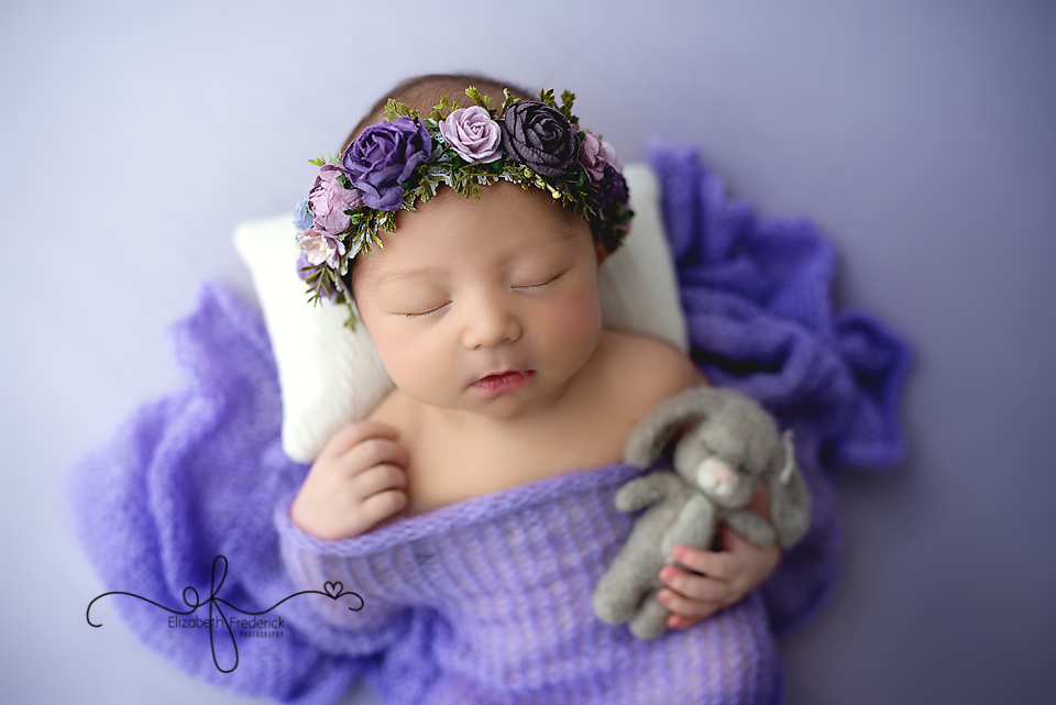 purple newborn photography session with rabbit stuffie | CT Newborn Photographer Elizabeth Frederick Photography