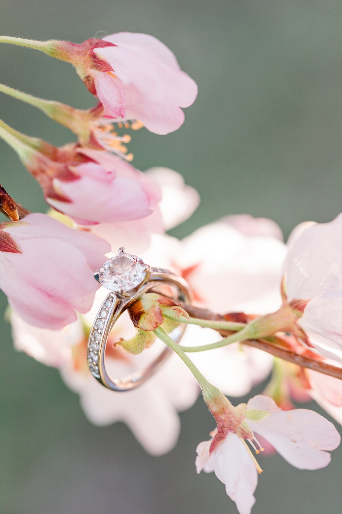 Washington-DC-Wedding-Photography-Lincoln-Memorial-Silver-Orchard-Creative_0021