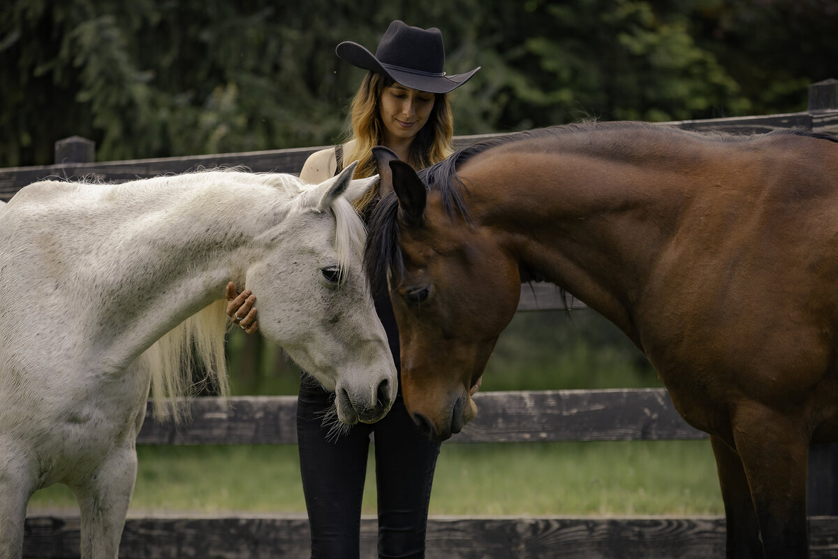 seattle-equine-photographer-12