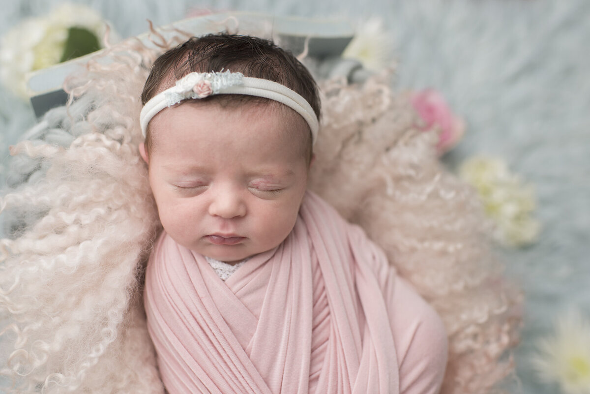 a newborn photo session in tampa of little girl