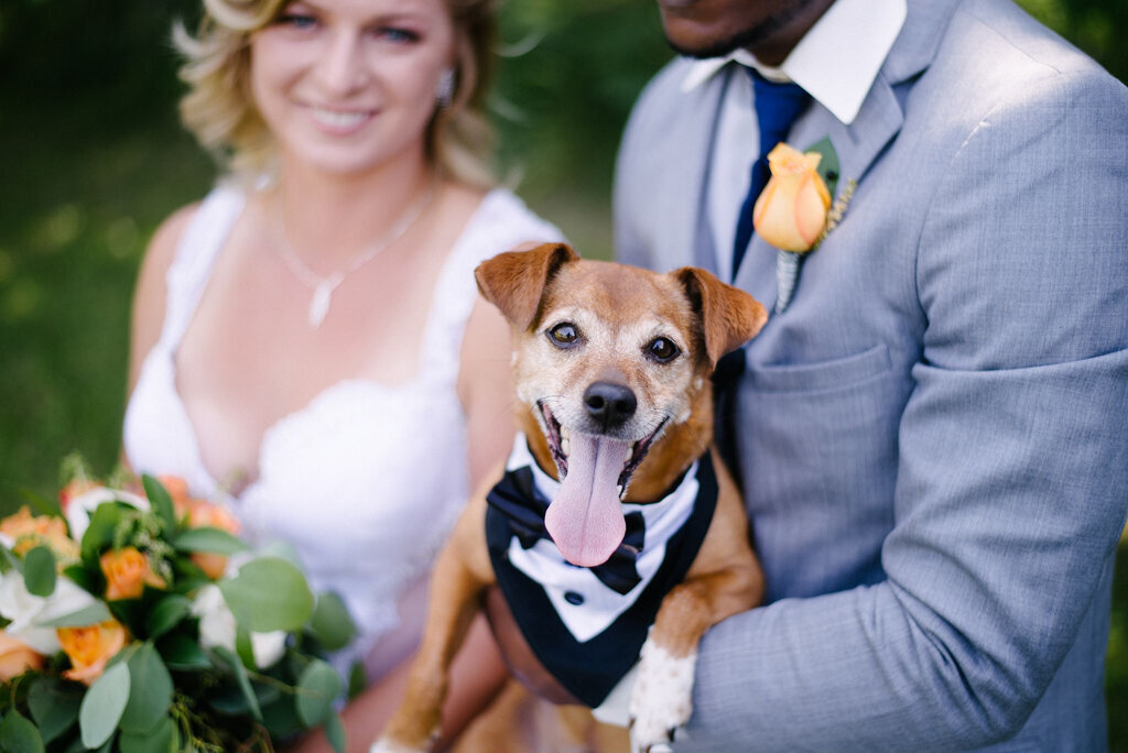 Bride and groom with dog wearing pup tuxedo, captured by M2S Photography, timeless and elegant wedding photographer in Calgary, Alberta. Featured on the Bronte Bride Vendor Guide.