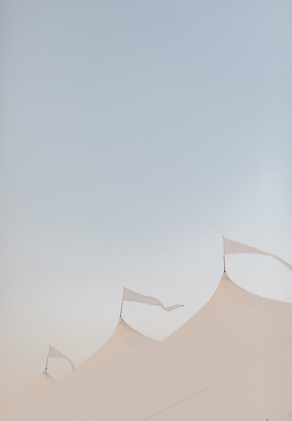 SavannahandChris-1373