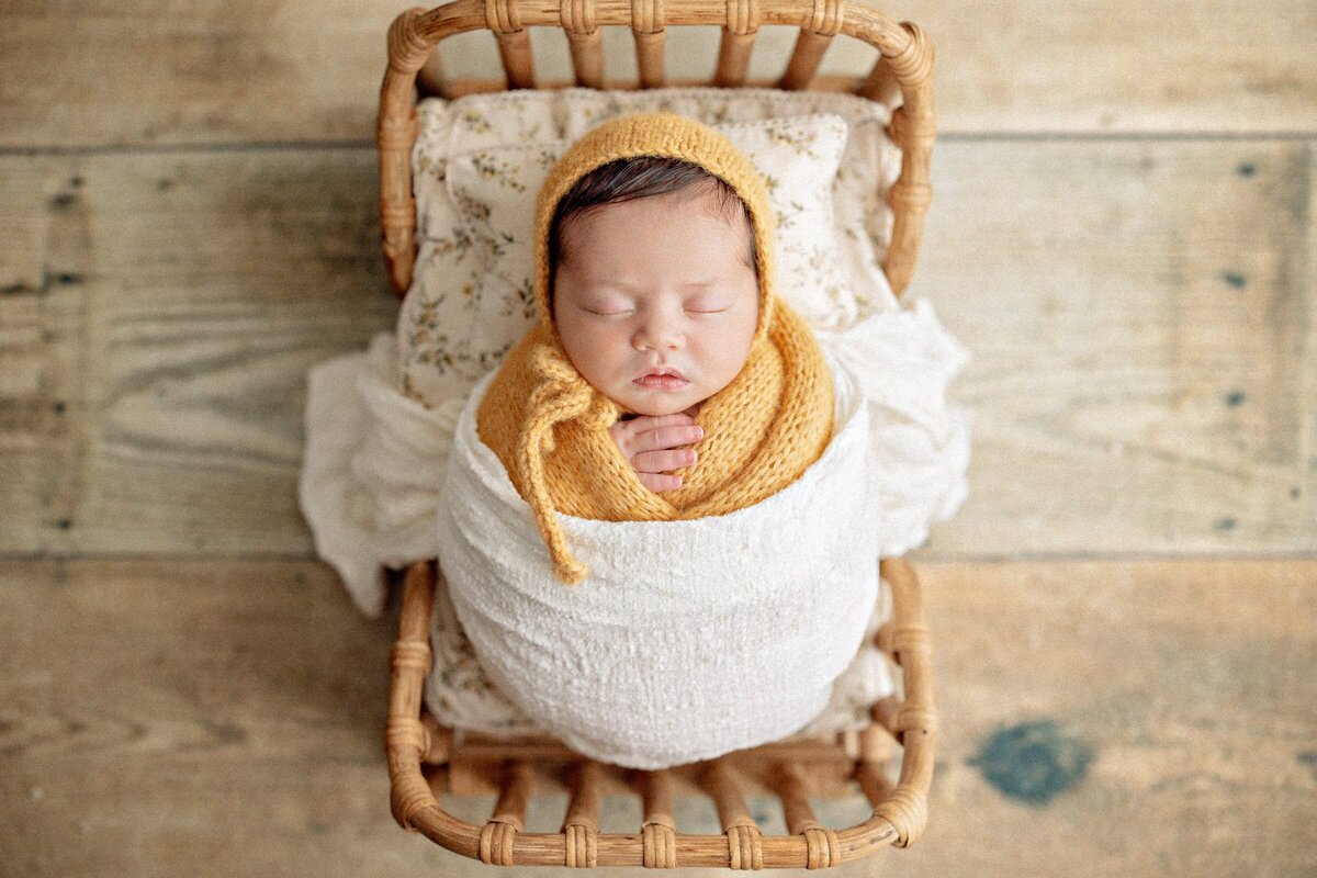 Fort_Collins_Newborn_Photographer