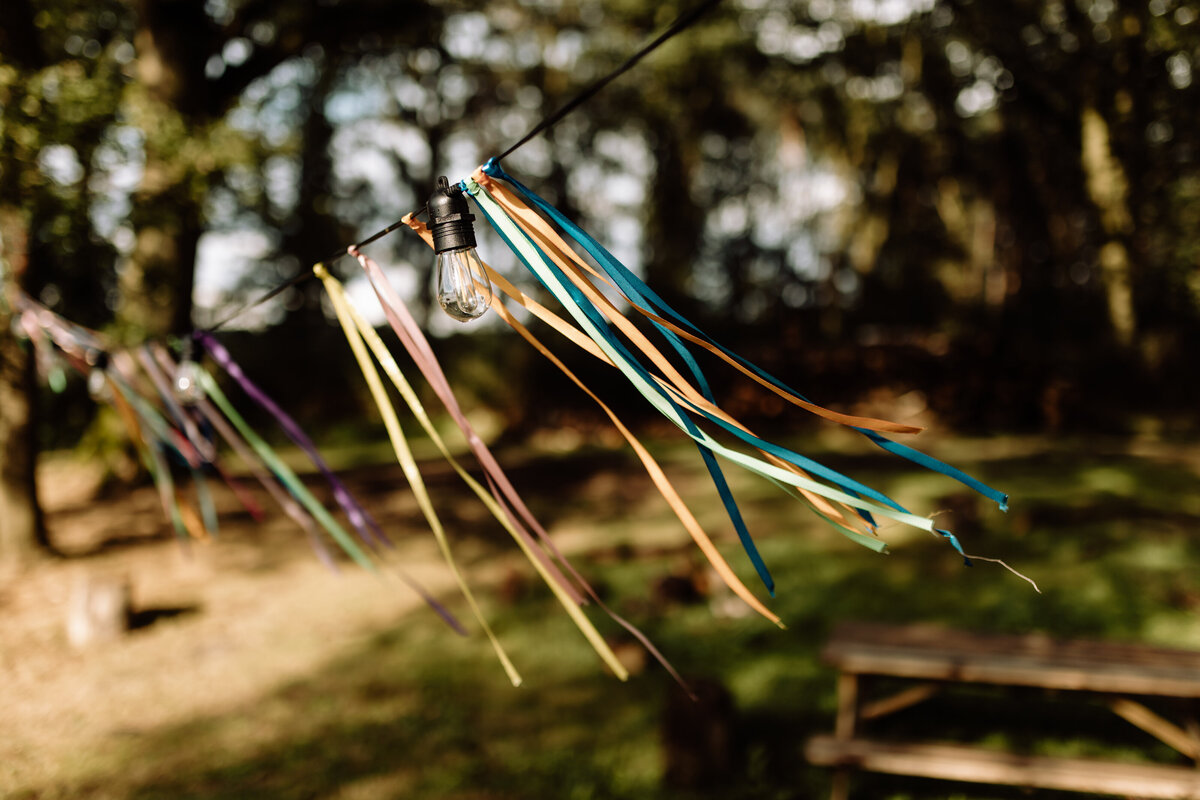 LaJolaPhotography_WonderWoods_0924-21