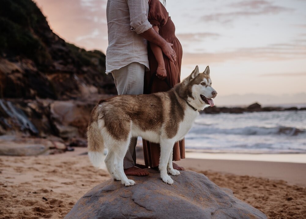 Sydney-maternity-bump-lifestyle-portrait-photography2
