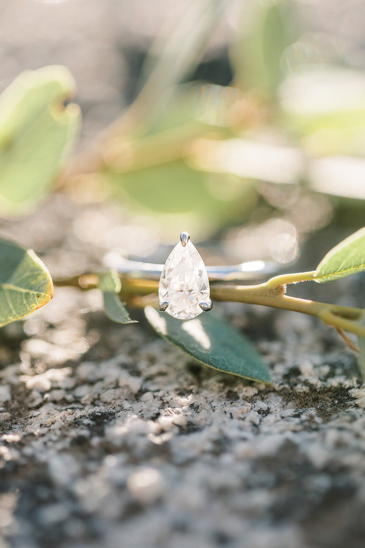 lake-tahoe-engagement-session-007