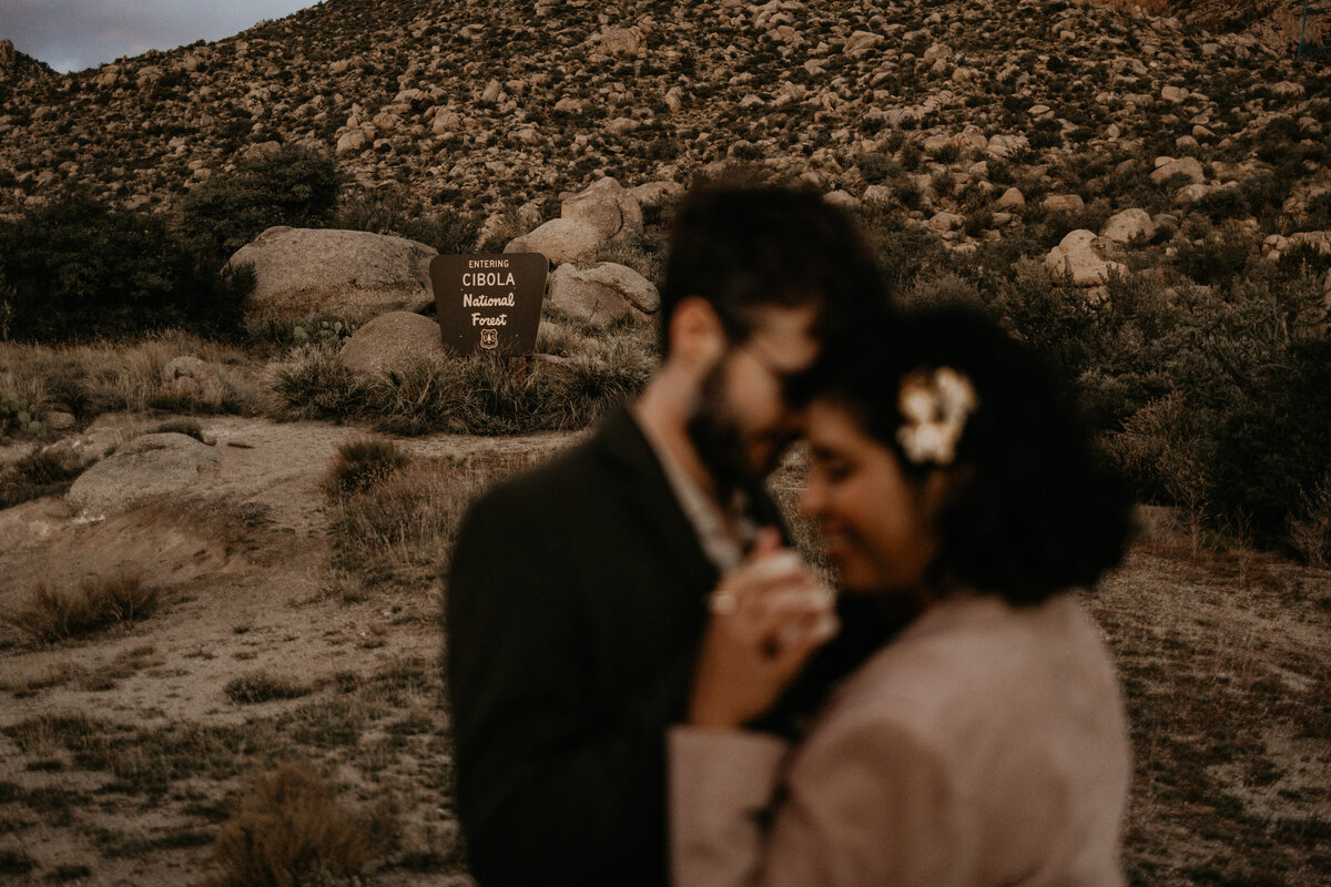 newlyweds kissing on the Sandia foothills in Albuquerque