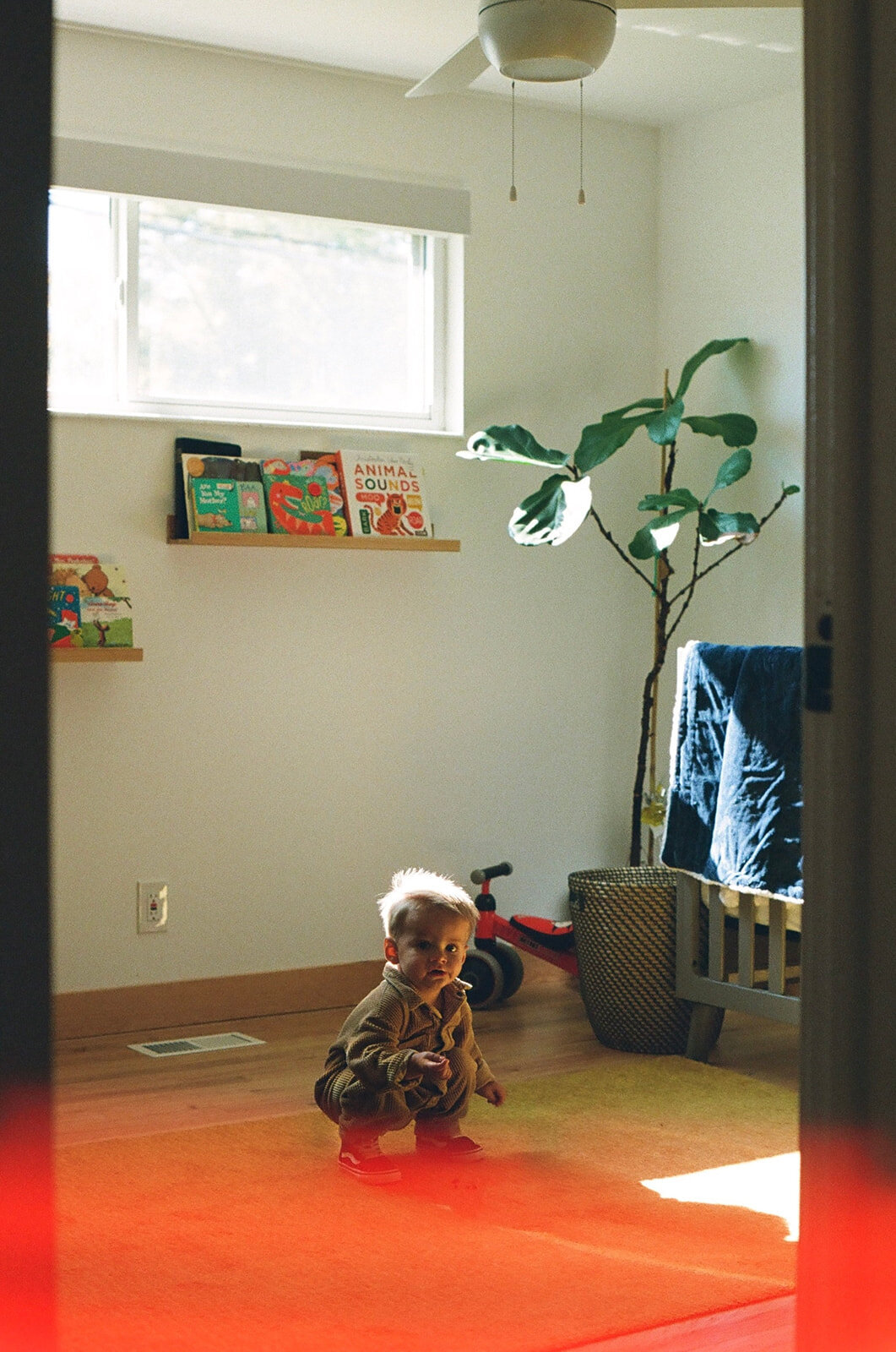 Rachel Dom Photography _ families _ 10
