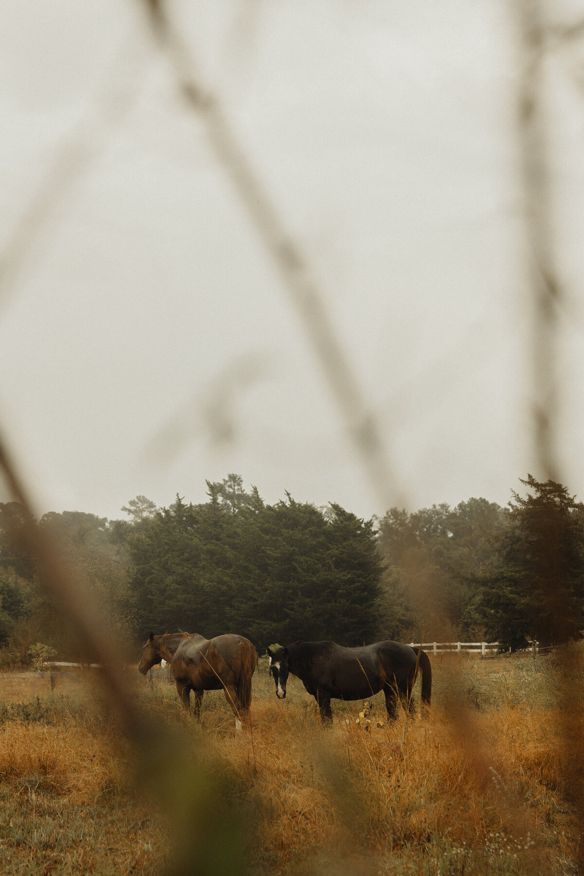 Wommack - 1 Before - Payton Hartsell Photography-3