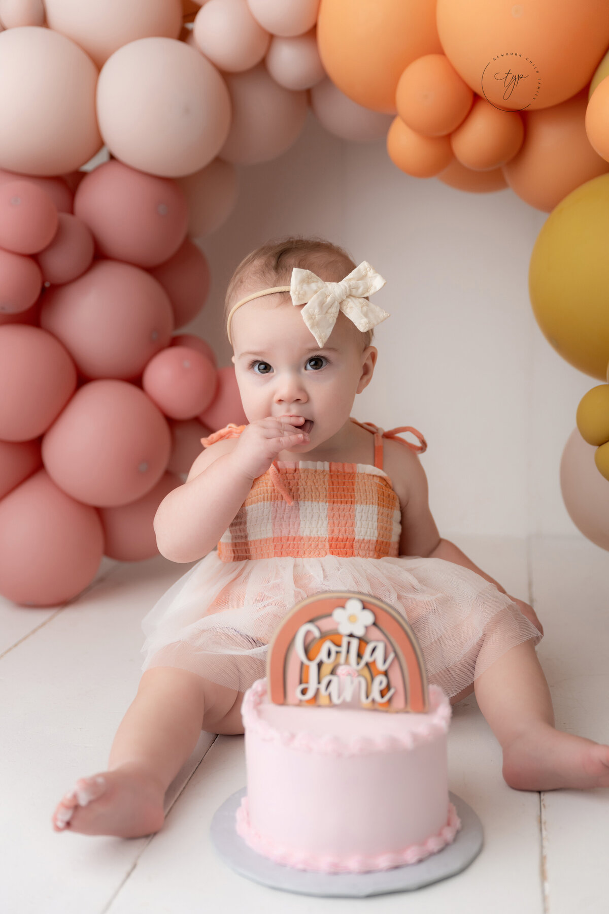 cake smash photographer Knoxville, cake smash portraits near me