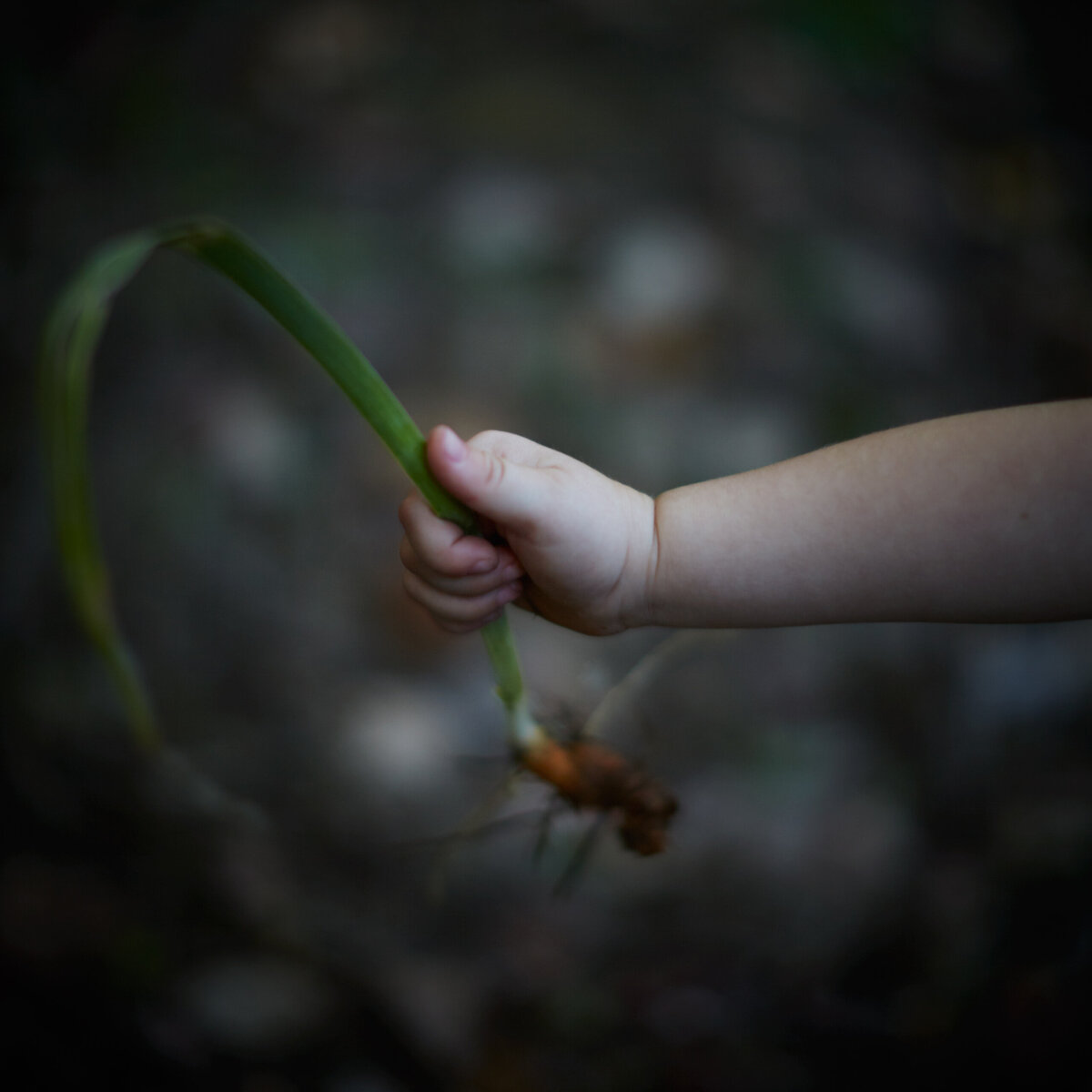 20151006___MG_6576