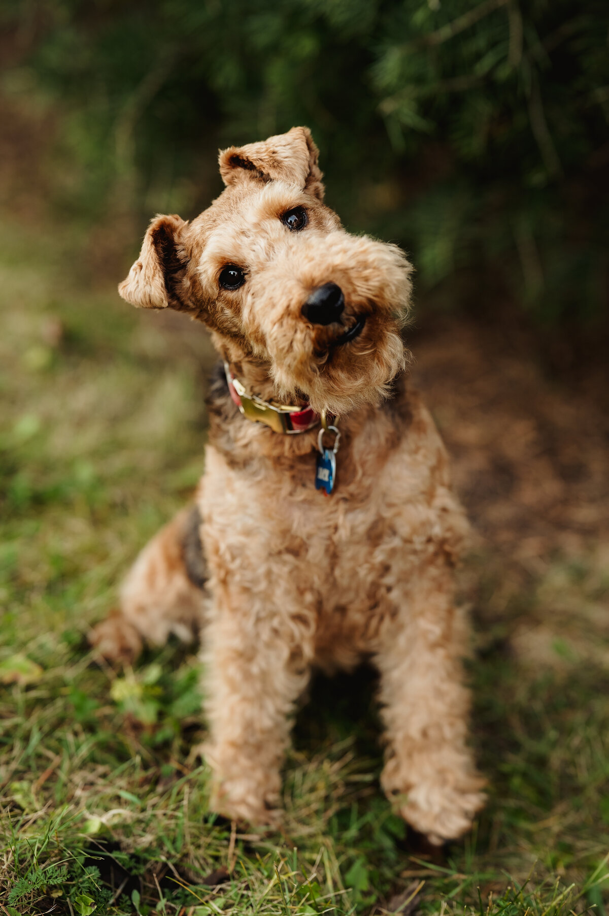 ReneeR_Fall2024_026 (2)