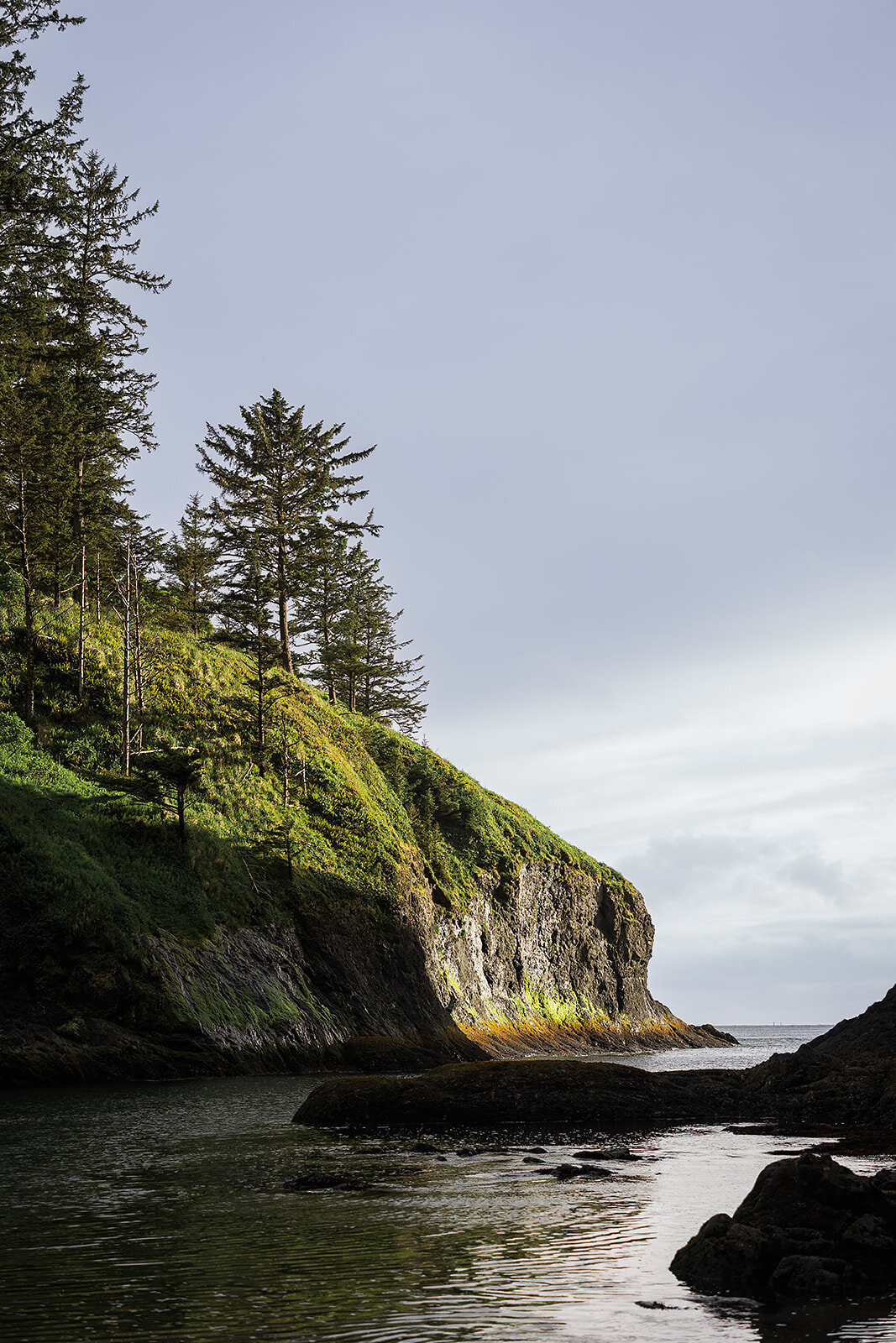 Final_Seaview Washington Elopement - Tara Nichole Photo - 2024 - Lauren and Jarrod-162