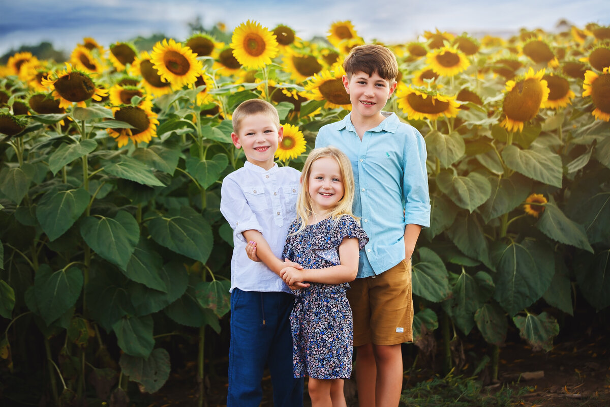 MiniSession-Sunflower-Family-Photographer-Photography-Vaughan-Maple-29