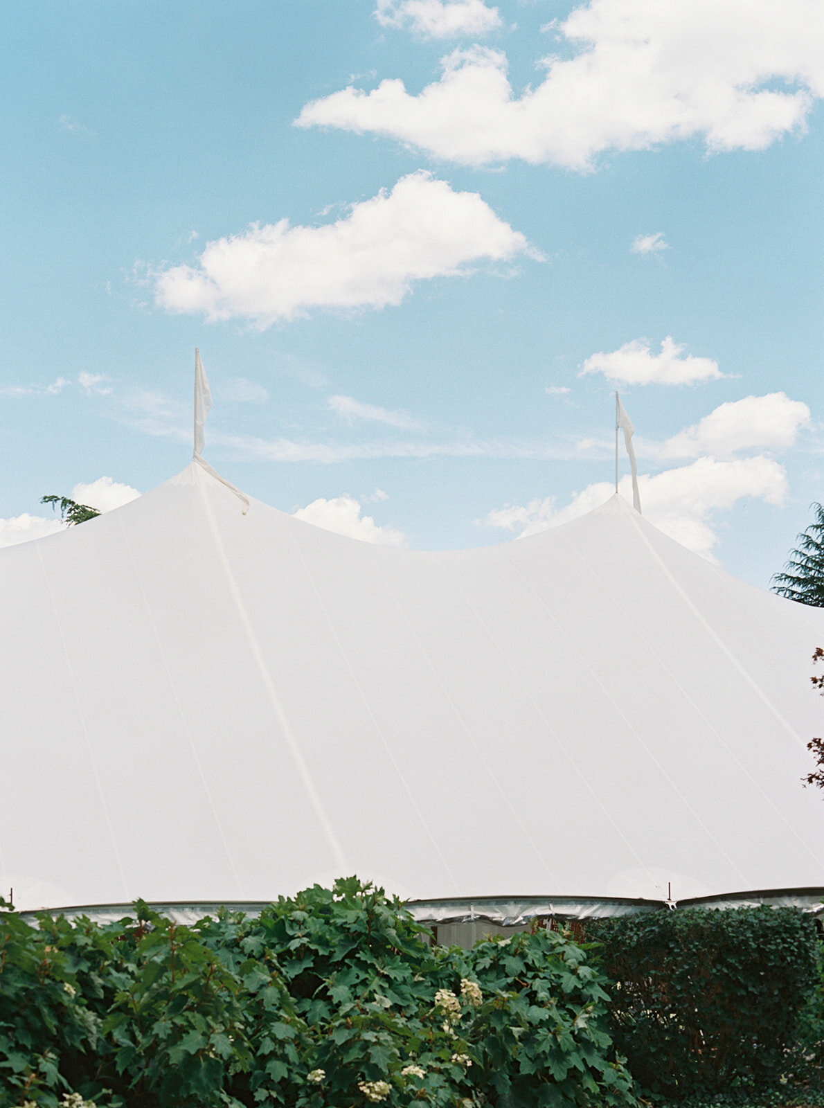 Virginia Wedding Photographer Natalie Jayne Photography-10-2