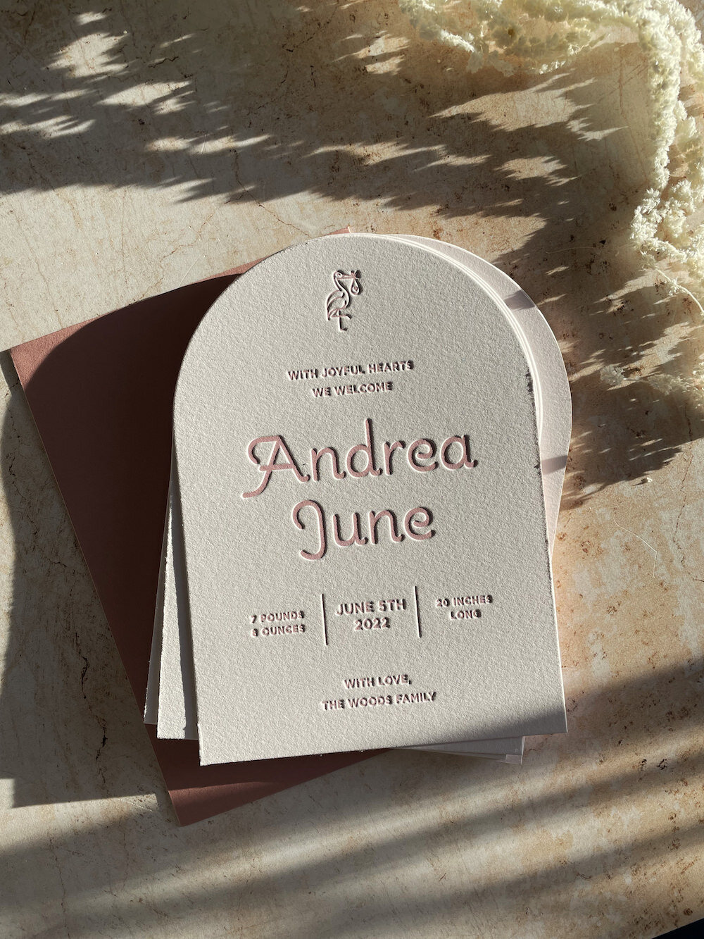 pink-stork-birth-announcement-bodega-press