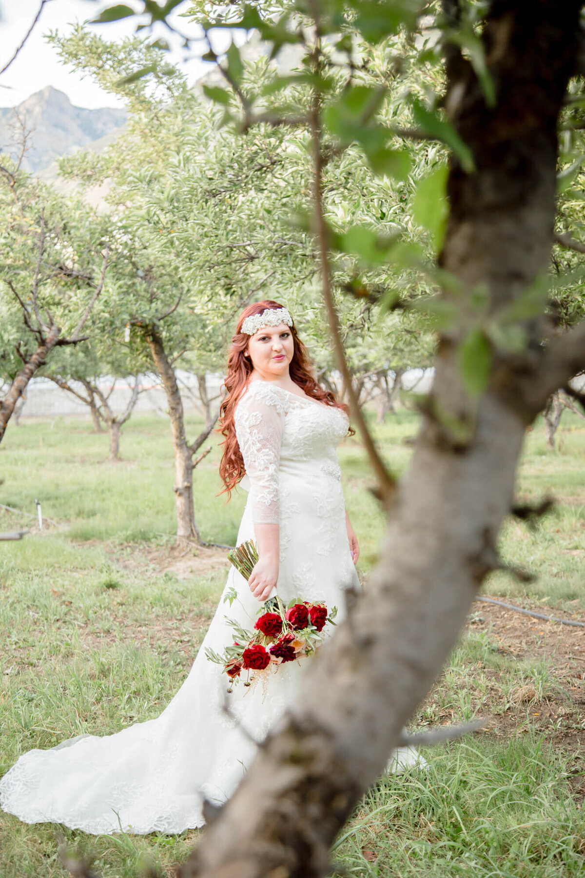 beautiful redheaded bride holding a red rose bouquet in an apple orchard