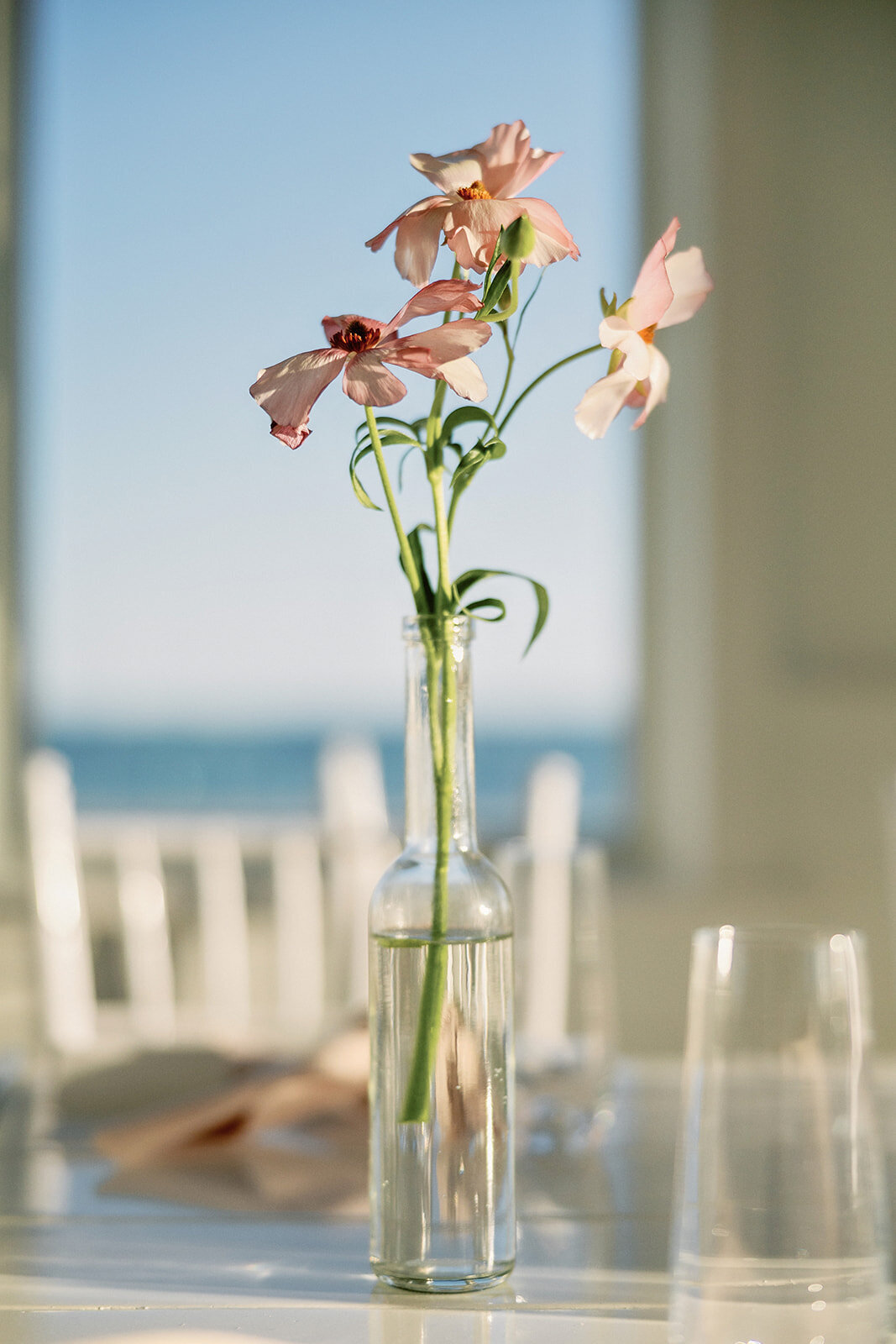 Theresa_and_Jordan_wedding_photos-369