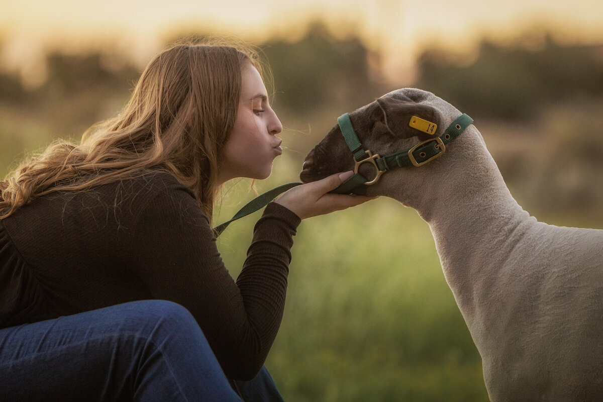 girl kissing lamb