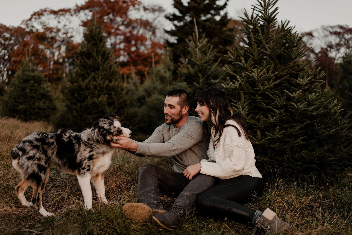 Dog Engagement Session