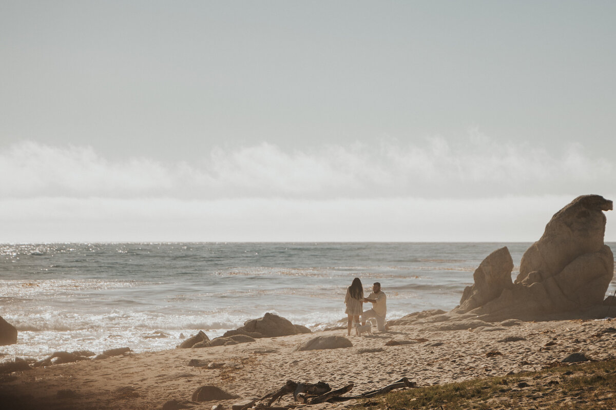 California-Engagement-Couples-Photography-Session-Carmel-Beach-Surprise-Engagement-3