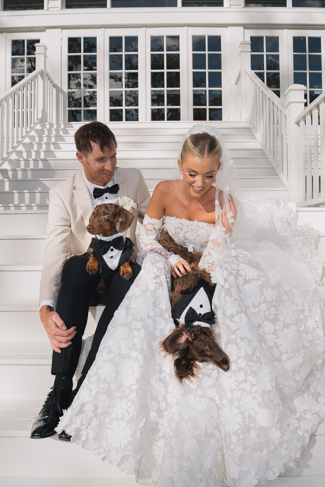 Bride and Groom with Dogs