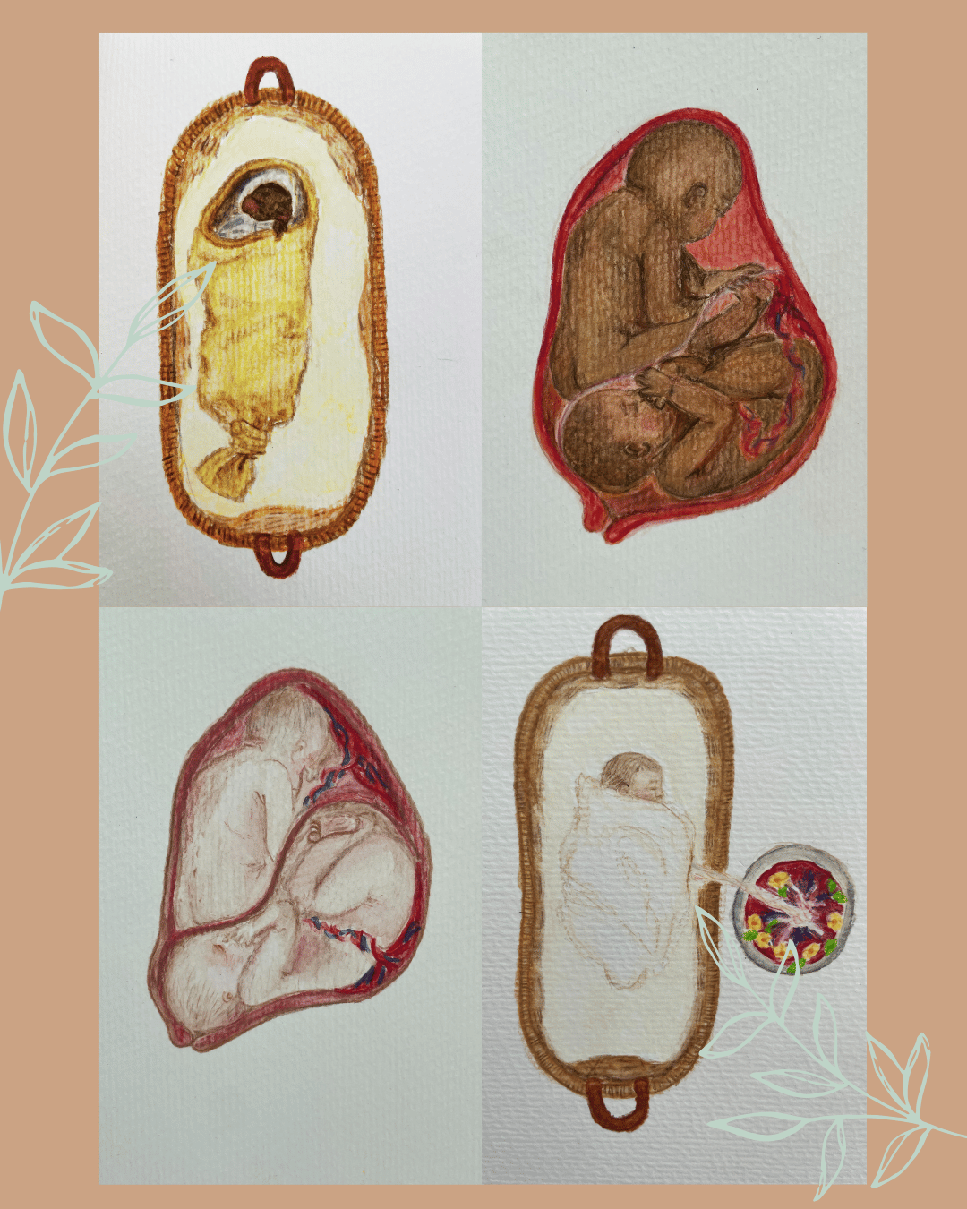 babies, lotus-geboorte, tweeling, kinderen-uitde-lichtjeswereld