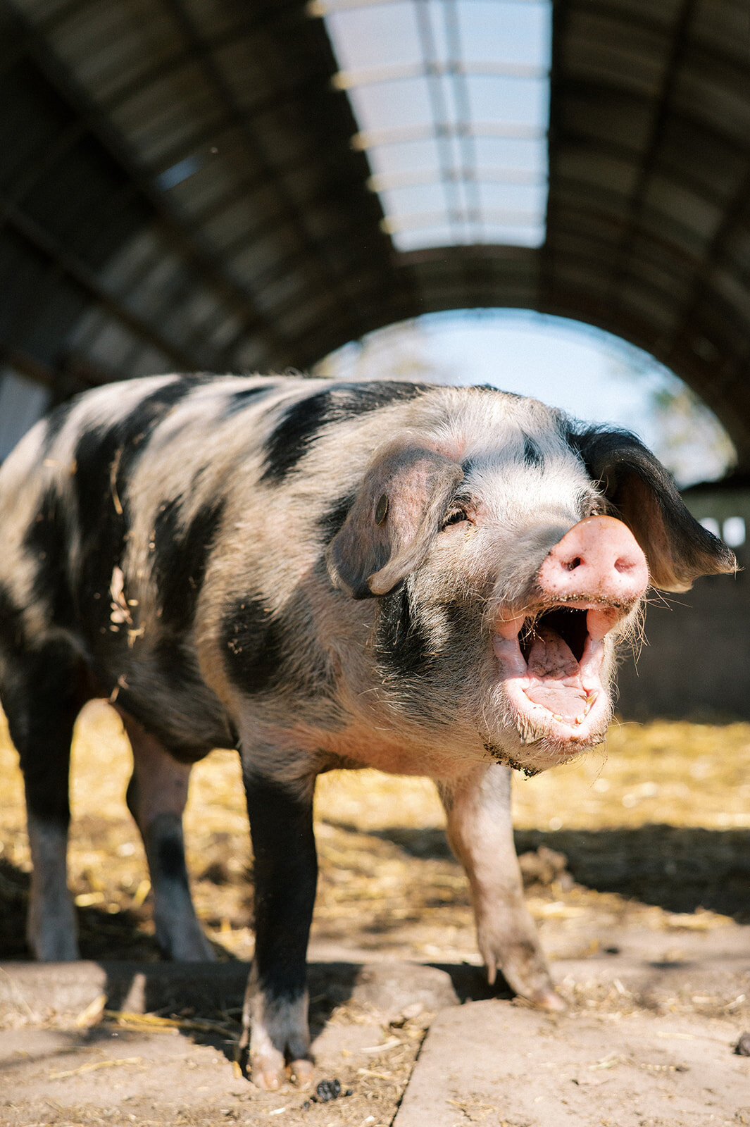 FotostudioFlora_Sengersbroek-6