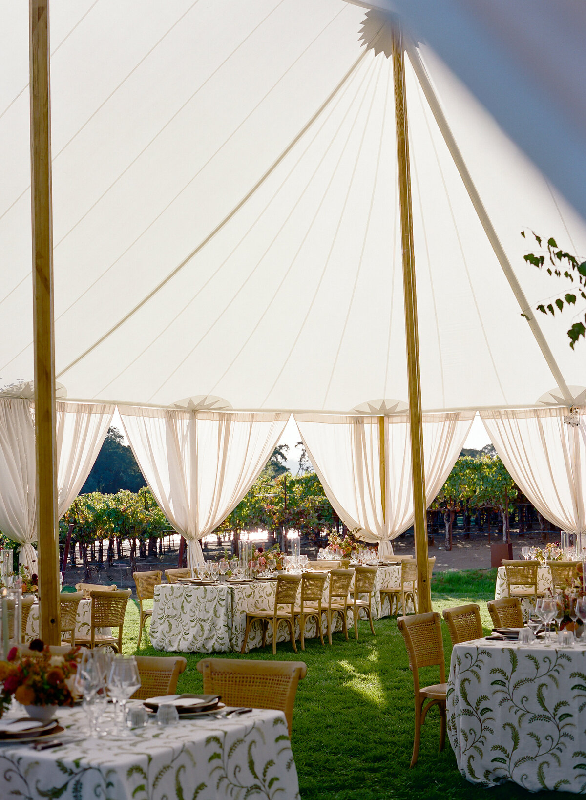 DT-2025-Celine & Gabe Highlights-220