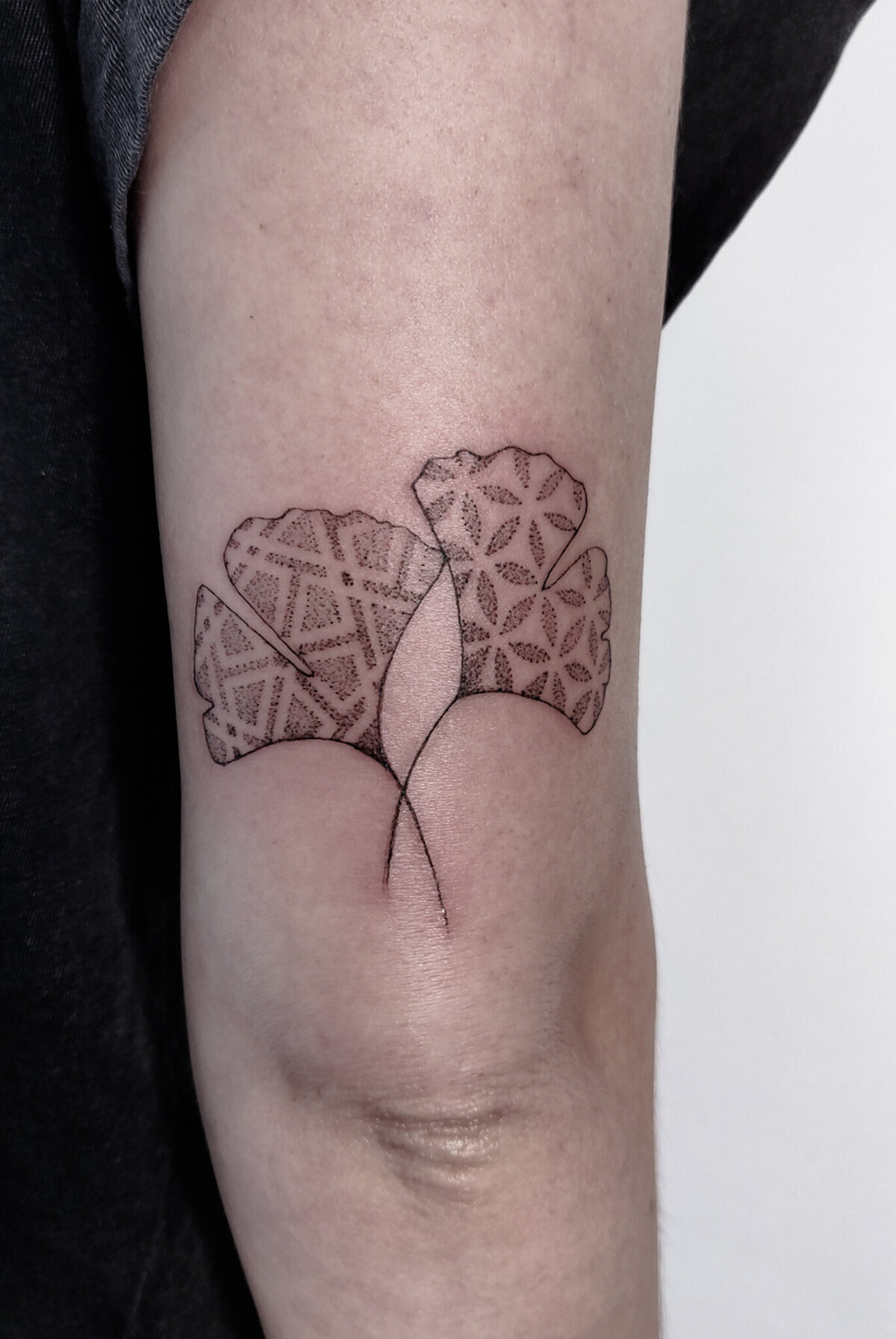 ginkgo leaves tattoo, dotwork tattoo, pattern tattoo
