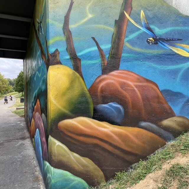 image2 (7)