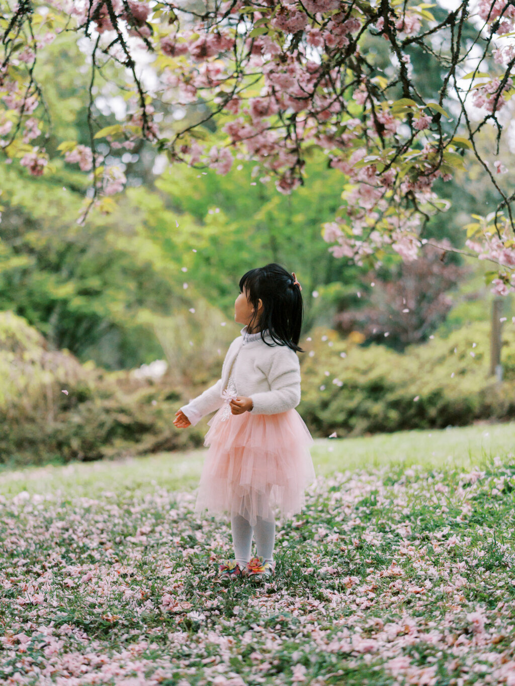 Tanya Zagumenov Washington Park Arboretum Seattle Maternity Session Yanjin-100