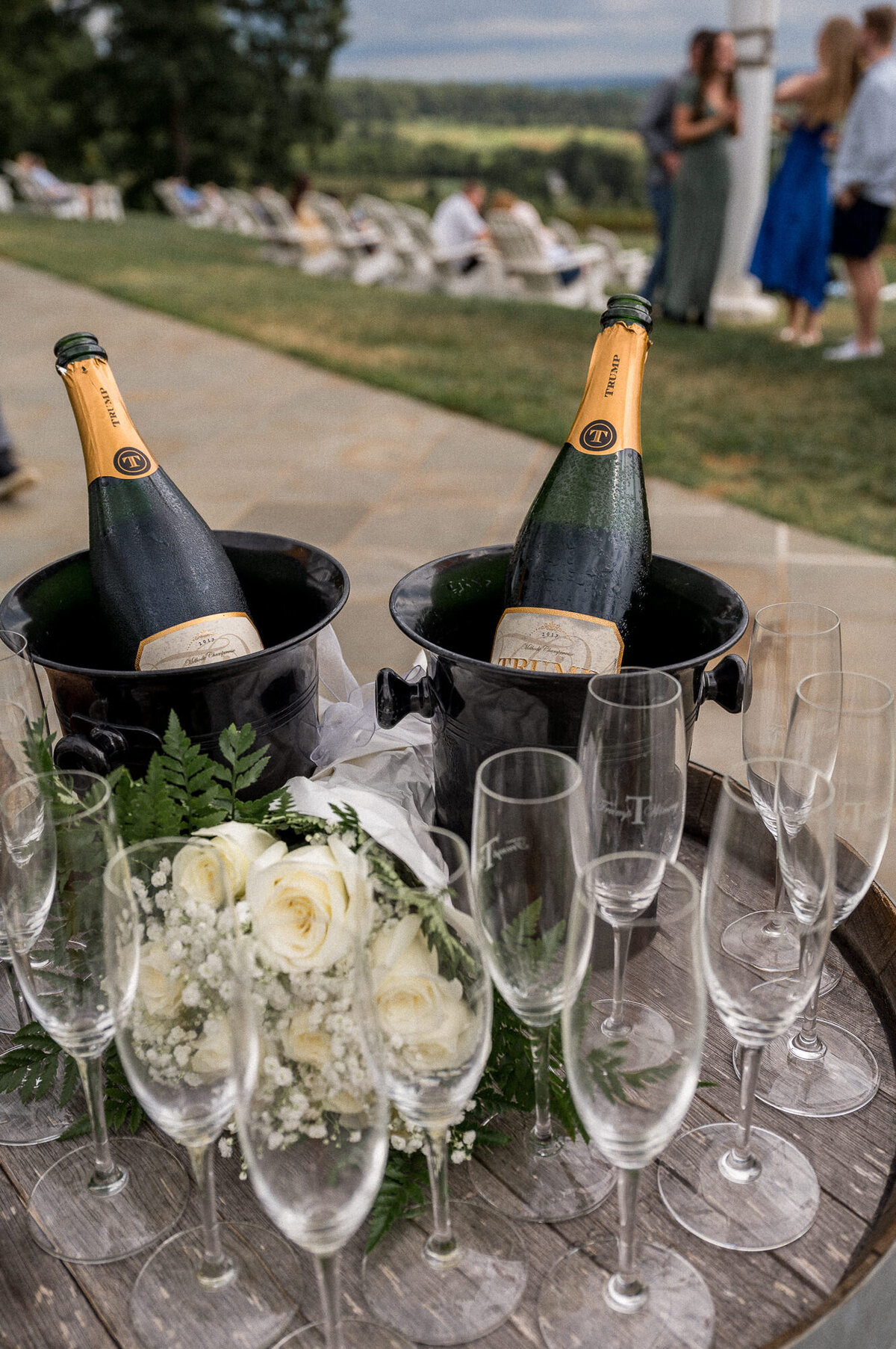 Trump Vineyard Proposal Photographer - Hunter and Sarah Photography-22