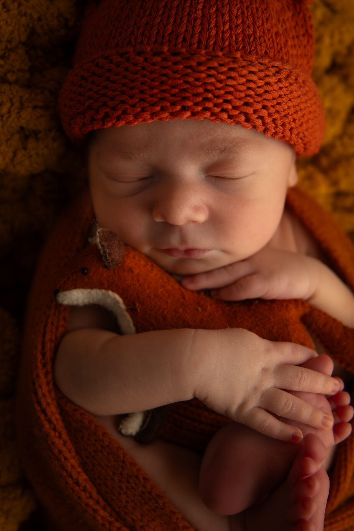Wadsworth Newborn Photographer-1